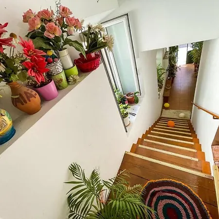 Stylish Flat In Corfu Port Appartement